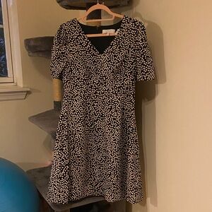 Lark & Ro Black Dress with White Dots